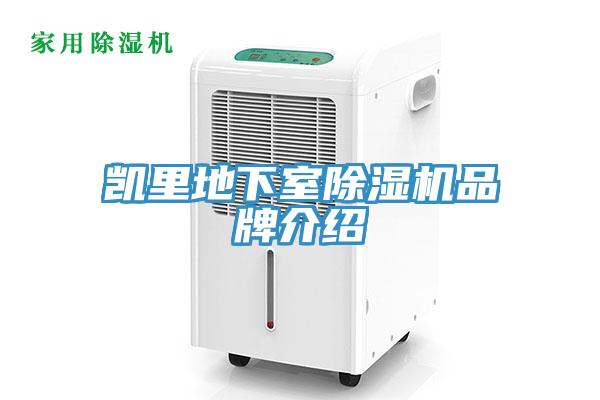 凯里地下室小黄片直播视频品牌介绍