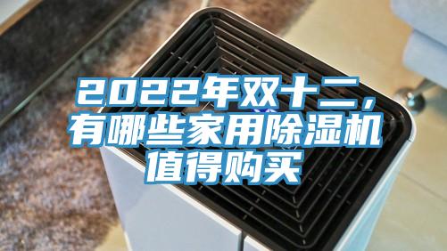 2022年双十二，有哪些家用小黄片直播视频值得购买