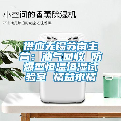 供应无锡苏南主营：油气回收 防爆型恒温恒湿试验室 精益求精