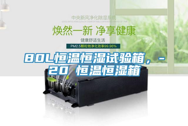80L恒温恒湿试验箱，-20℃恒温恒湿箱