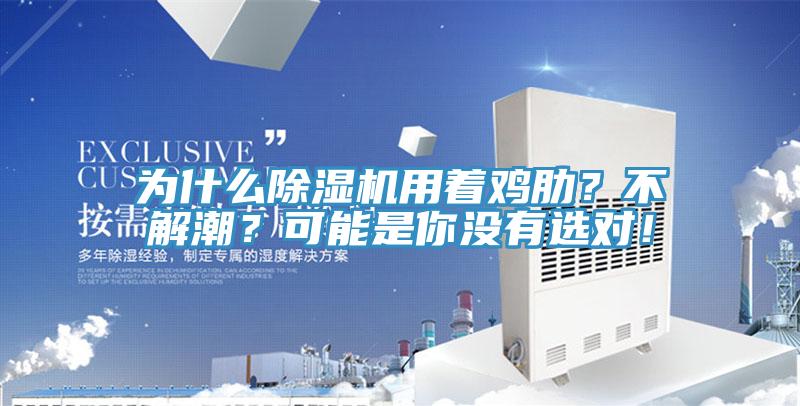 为什么小黄片直播视频用着鸡肋？不解潮？可能是你没有选对！