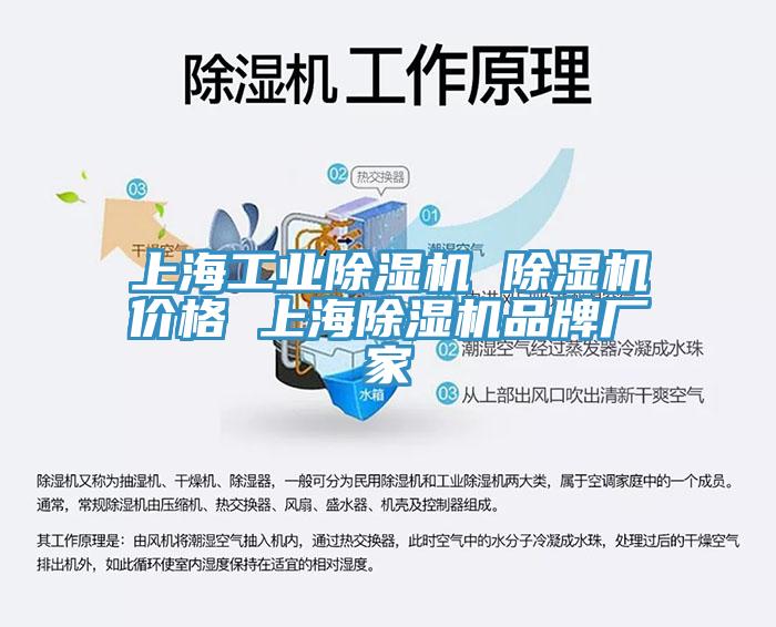 上海工业小黄片直播视频 小黄片直播视频价格 上海小黄片直播视频品牌厂家