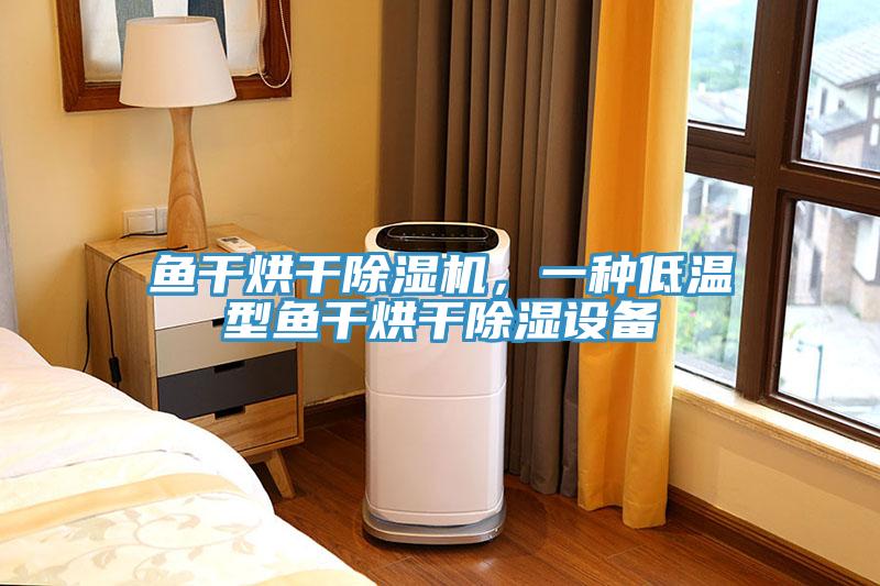鱼干烘干小黄片直播视频，一种低温型鱼干烘干除湿设备