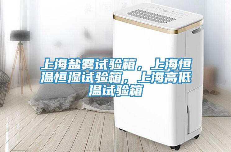 上海盐雾试验箱，上海恒温恒湿试验箱，上海高低温试验箱