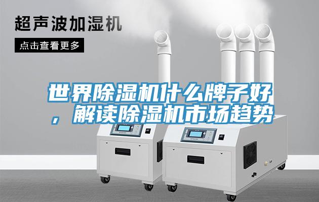 世界小黄片直播视频什么牌子好，解读小黄片直播视频市场趋势