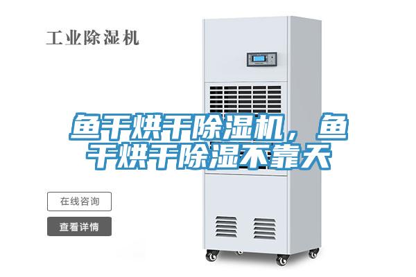 鱼干烘干小黄片直播视频，鱼干烘干除湿不靠天