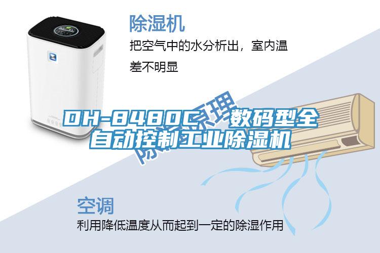 DH-8480C  数码型全自动控制工业小黄片直播视频