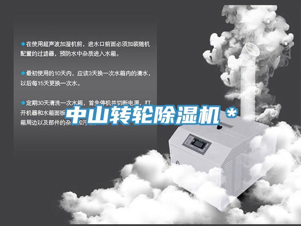 中山转轮小黄片直播视频＊