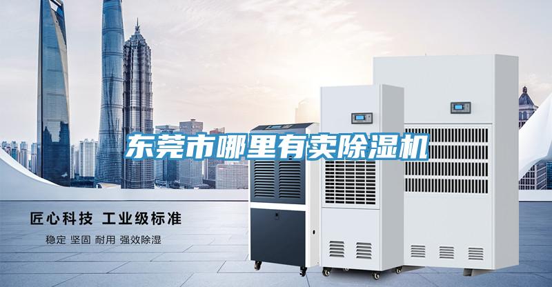 东莞市哪里有卖小黄片直播视频
