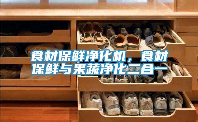 食材保鲜净化机，食材保鲜与果蔬净化二合一