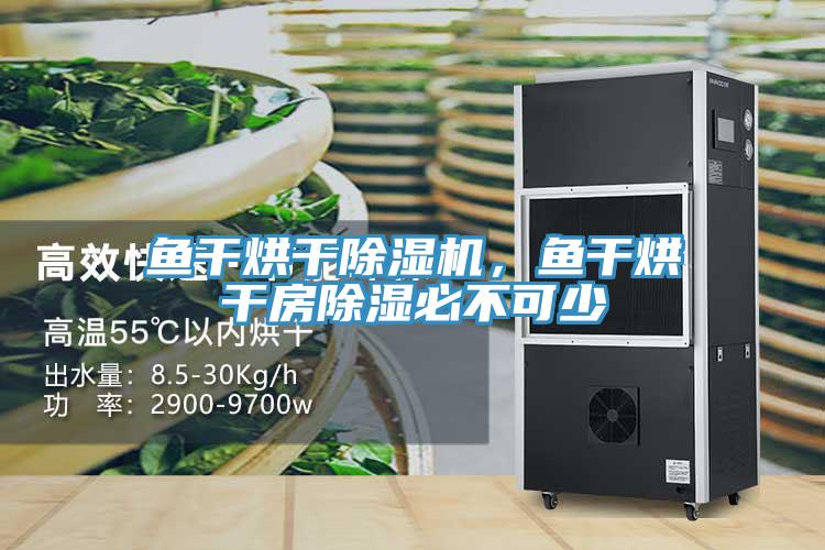 鱼干烘干小黄片直播视频，鱼干烘干房除湿必不可少