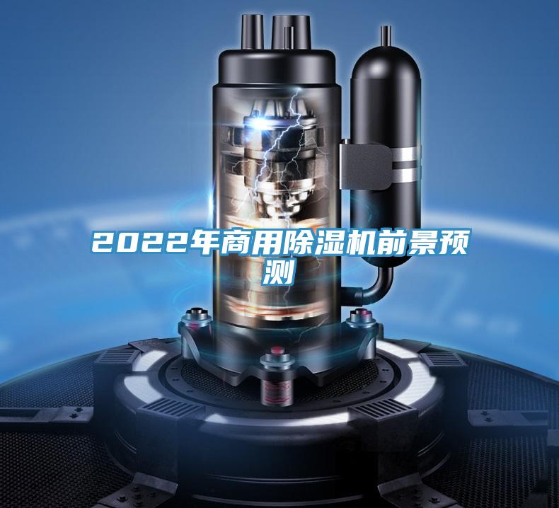 2022年商用小黄片直播视频前景预测