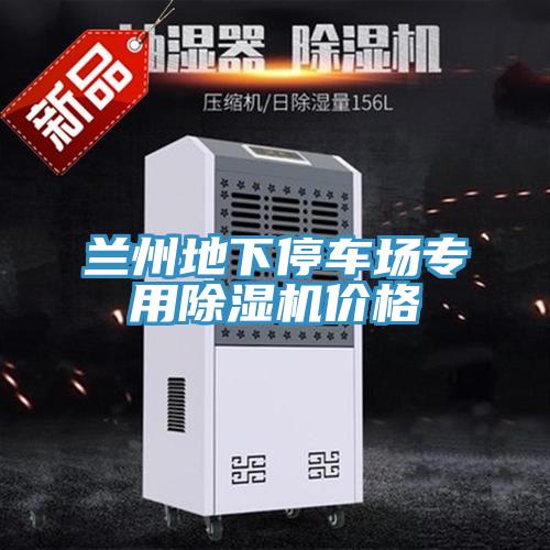 兰州地下停车场专用小黄片直播视频价格