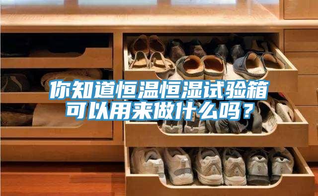 你知道恒温恒湿试验箱可以用来做什么吗？