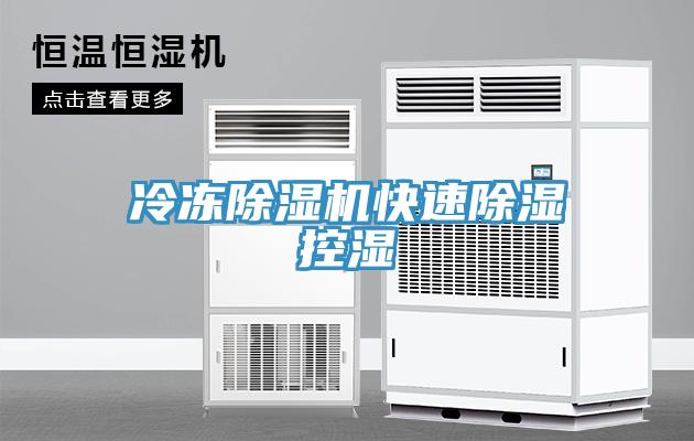 冷冻小黄片直播视频快速除湿控湿