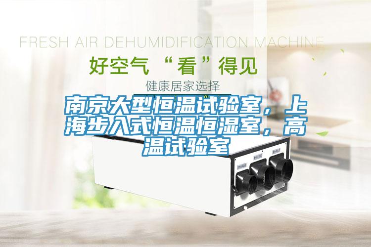 南京大型恒温试验室，上海步入式恒温恒湿室，高温试验室