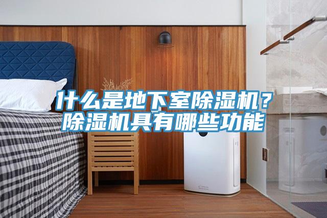 什么是地下室小黄片直播视频？小黄片直播视频具有哪些功能