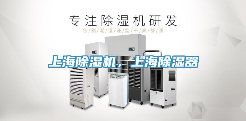 上海小黄片直播视频，上海除湿器