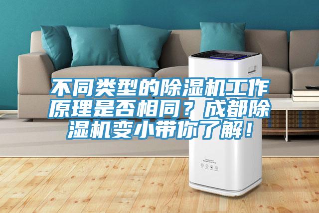 不同类型的小黄片直播视频工作原理是否相同？成都小黄片直播视频变小带你了解！
