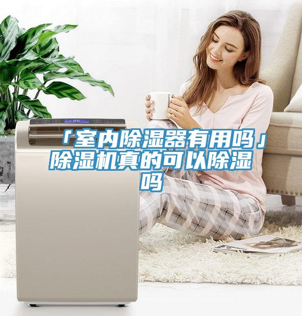 「室内除湿器有用吗」小黄片直播视频真的可以除湿吗