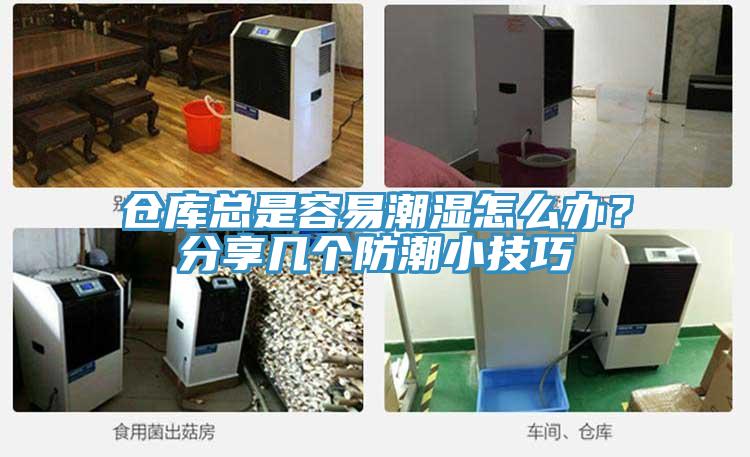 仓库总是容易潮湿怎么办？分享几个防潮小技巧