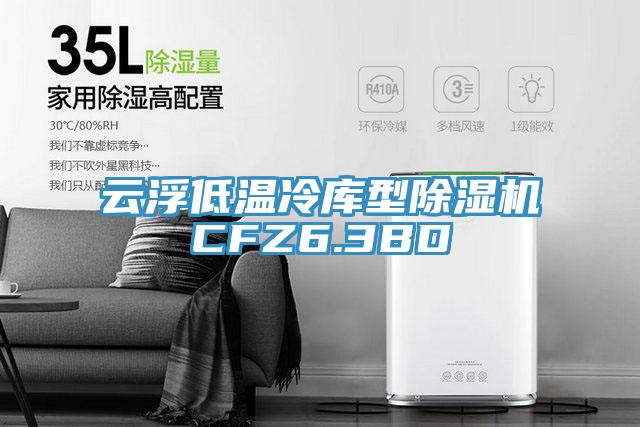 云浮低温冷库型小黄片直播视频CFZ6.3BD