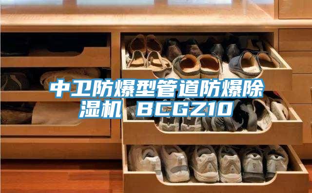 中卫防爆型管道防爆小黄片直播视频 BCGZ10