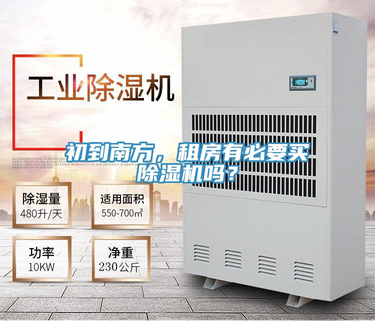 初到南方，租房有必要买小黄片直播视频吗？