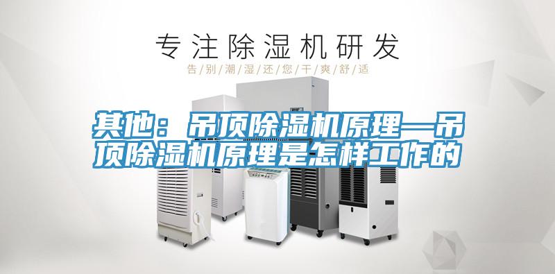 其他：吊顶小黄片直播视频原理—吊顶小黄片直播视频原理是怎样工作的