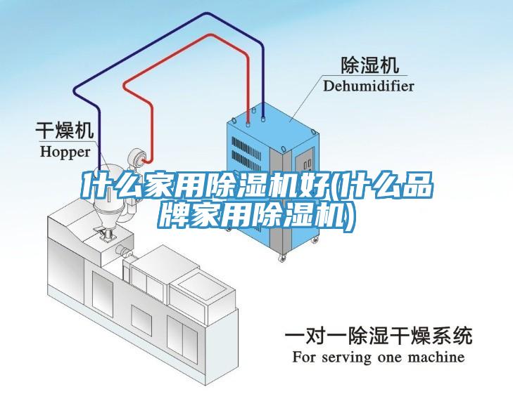 什么家用小黄片直播视频好(什么品牌家用小黄片直播视频)