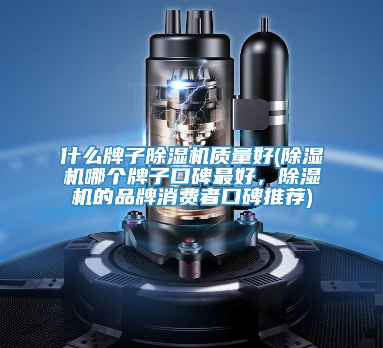 什么牌子小黄片直播视频质量好(小黄片直播视频哪个牌子口碑最好，小黄片直播视频的品牌消费者口碑推荐)