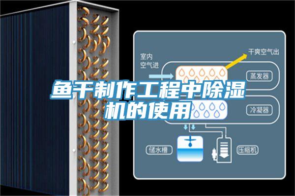鱼干制作工程中小黄片直播视频的使用