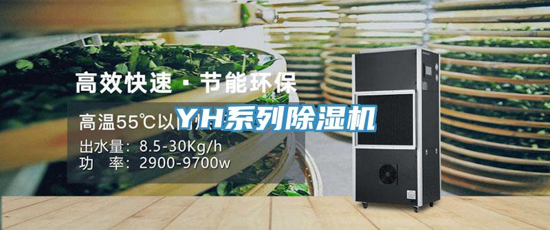 YH系列小黄片直播视频