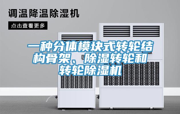 一种分体模块式转轮结构骨架、除湿转轮和转轮小黄片直播视频