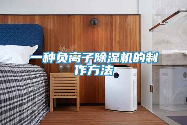 一种负离子小黄片直播视频的制作方法