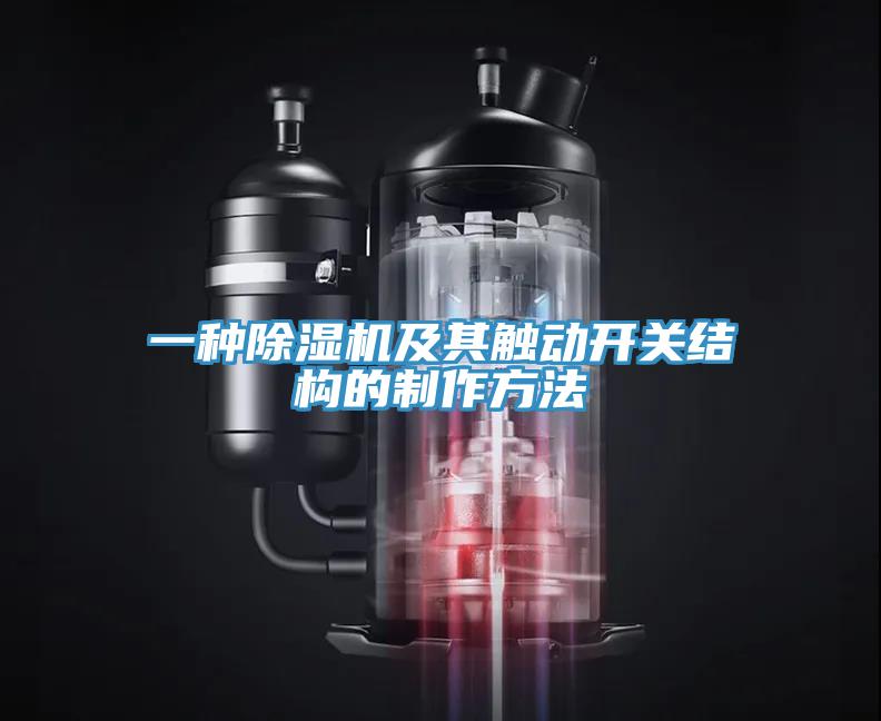 一种小黄片直播视频及其触动开关结构的制作方法