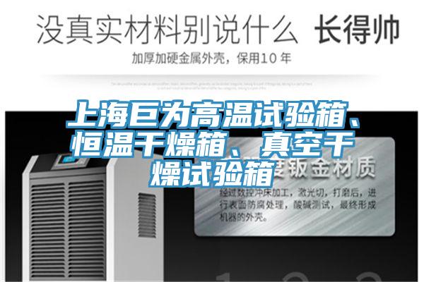 上海巨为高温试验箱、恒温干燥箱、真空干燥试验箱