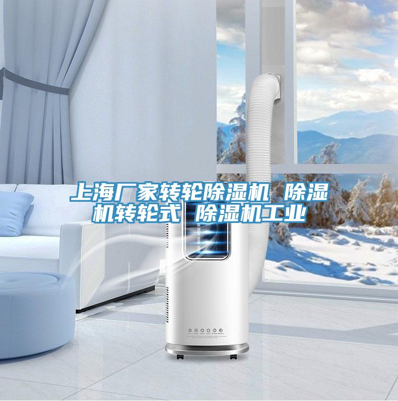上海厂家转轮小黄片直播视频 小黄片直播视频转轮式 小黄片直播视频工业
