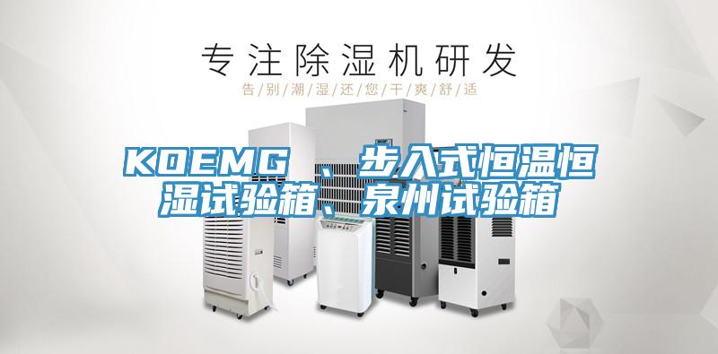 KOEMG 、步入式恒温恒湿试验箱、泉州试验箱