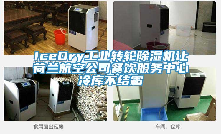IceDry工业转轮小黄片直播视频让荷兰航空公司餐饮服务中心冷库不结霜