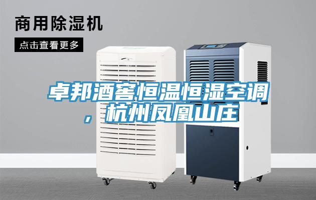卓邦酒窖恒温恒湿空调，杭州凤凰山庄