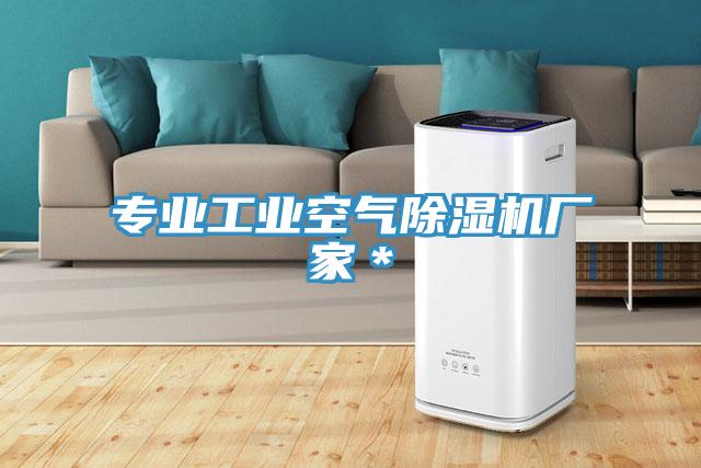 专业工业空气小黄片直播视频厂家＊