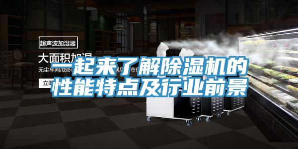 一起来了解小黄片直播视频的性能特点及行业前景