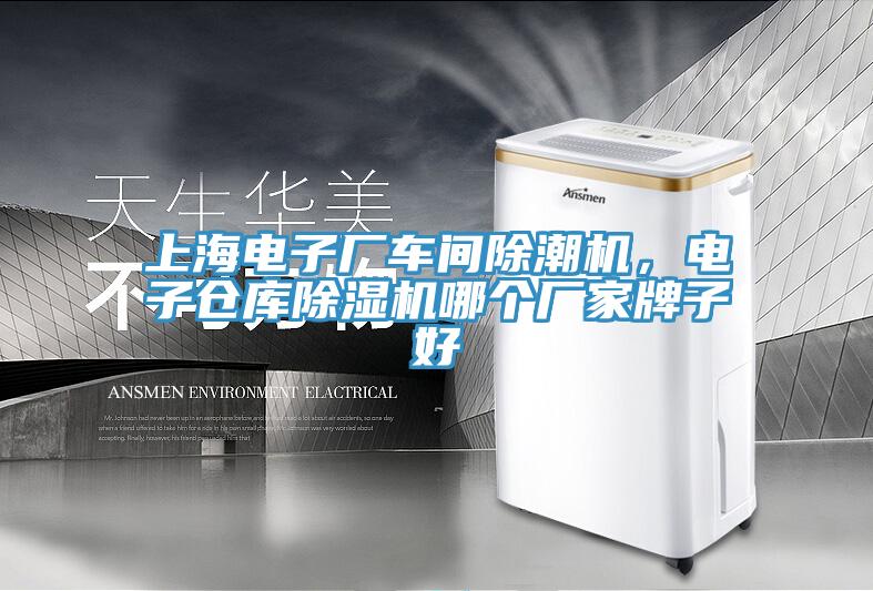 上海电子厂车间除潮机，电子仓库小黄片直播视频哪个厂家牌子好