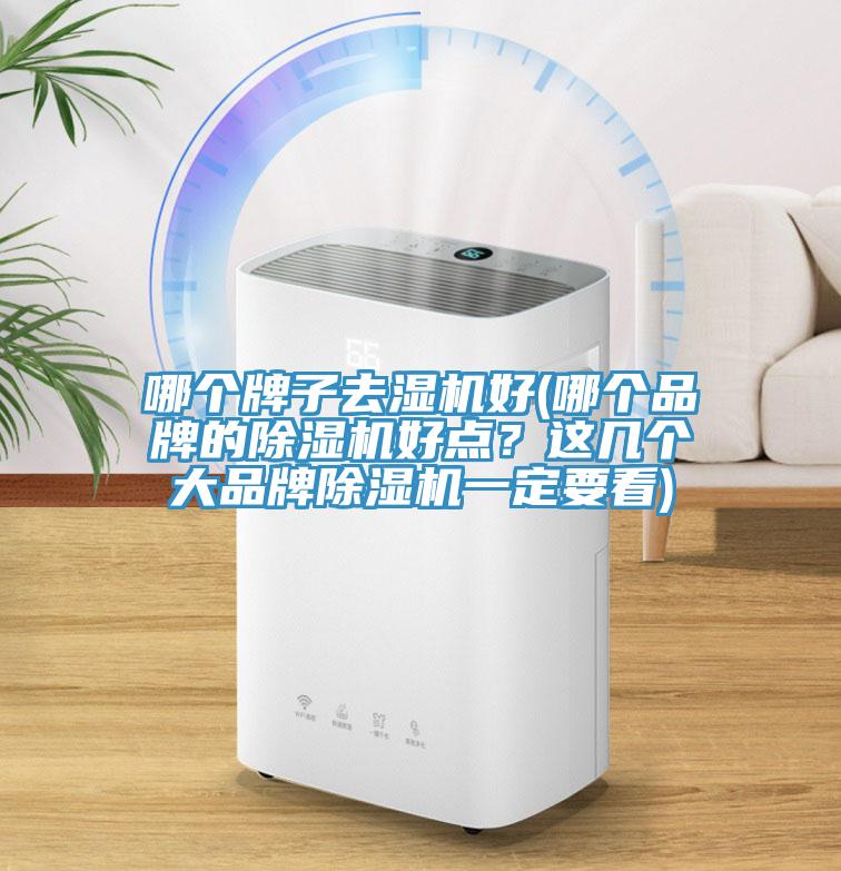 哪个牌子去湿机好(哪个品牌的小黄片直播视频好点？这几个大品牌小黄片直播视频一定要看)