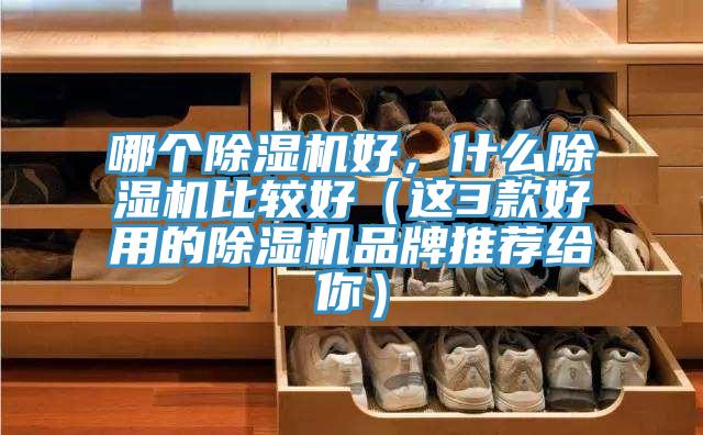 哪个小黄片直播视频好，什么小黄片直播视频比较好（这3款好用的小黄片直播视频品牌推荐给你）