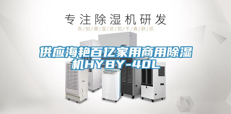 供应海艳百亿家用商用小黄片直播视频HYBY-40L
