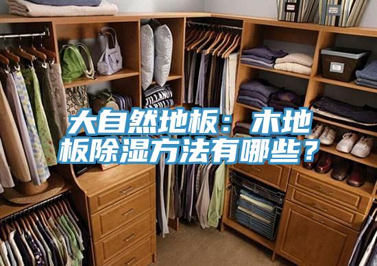 大自然地板：木地板除湿方法有哪些？