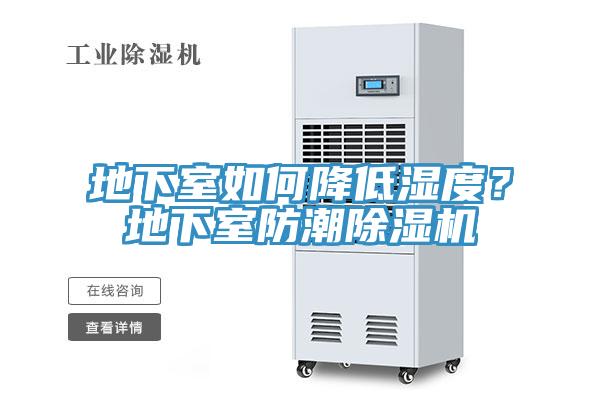 地下室如何降低湿度？地下室防潮小黄片直播视频