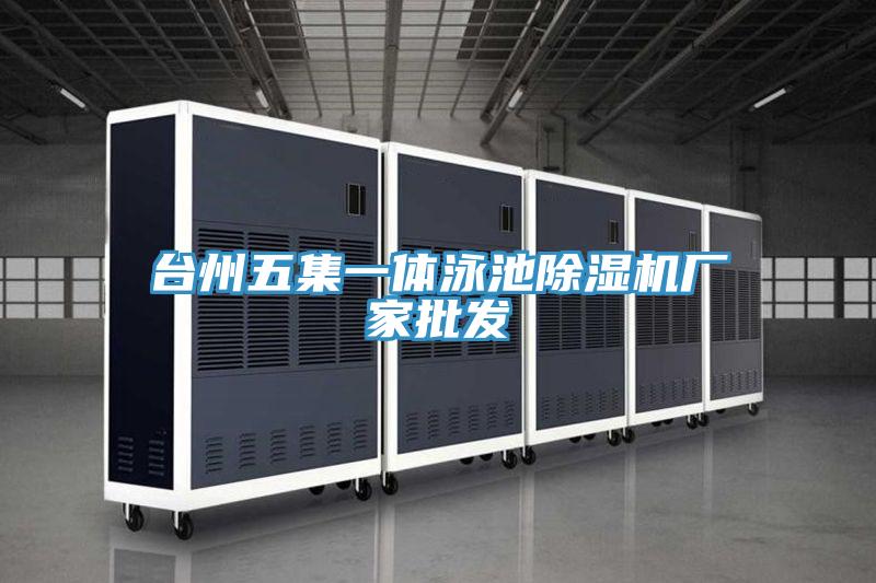 台州五集一体泳池小黄片直播视频厂家批发